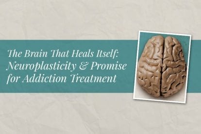 The Brain That Heals Itself: Neuroplasticity and Promise for Addiction Treatment