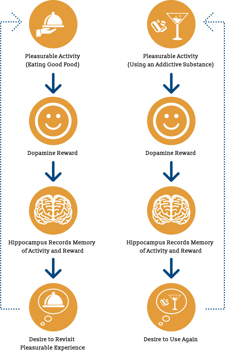 Multisensory Monday: The Y Rule Flow Chart - Brainspring Store